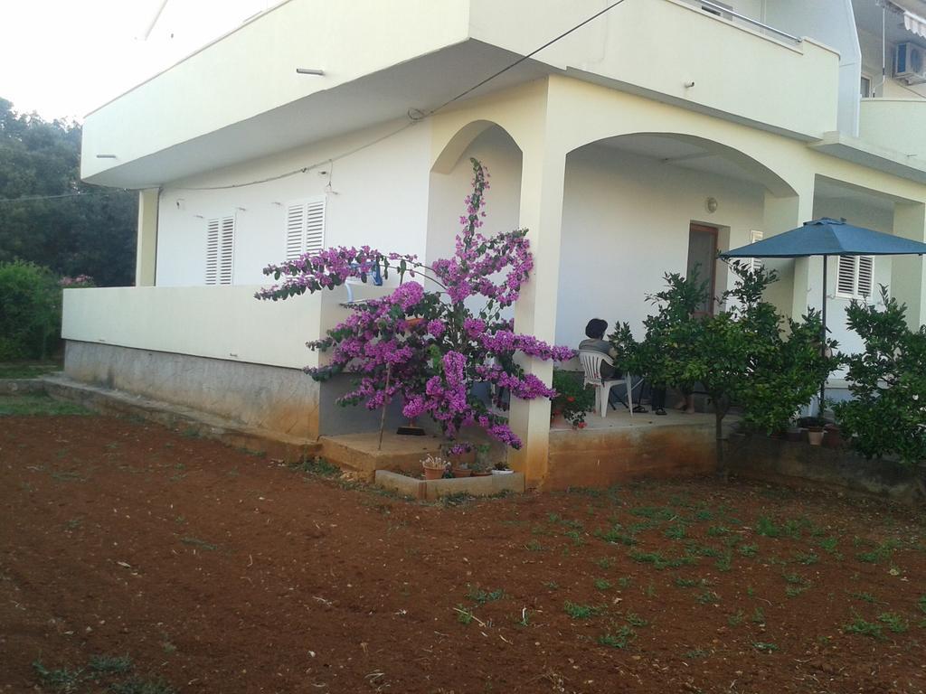 Apartments Maco Petrcane Rom bilde