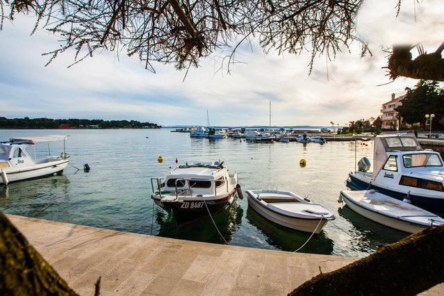 Apartments Maco Petrcane Rom bilde